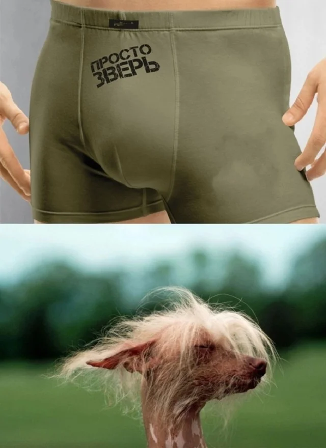 Мемы в ленту