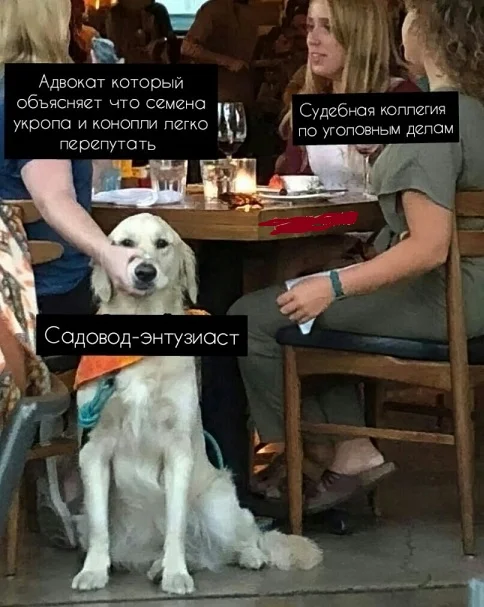 Мемы на каждый день #3