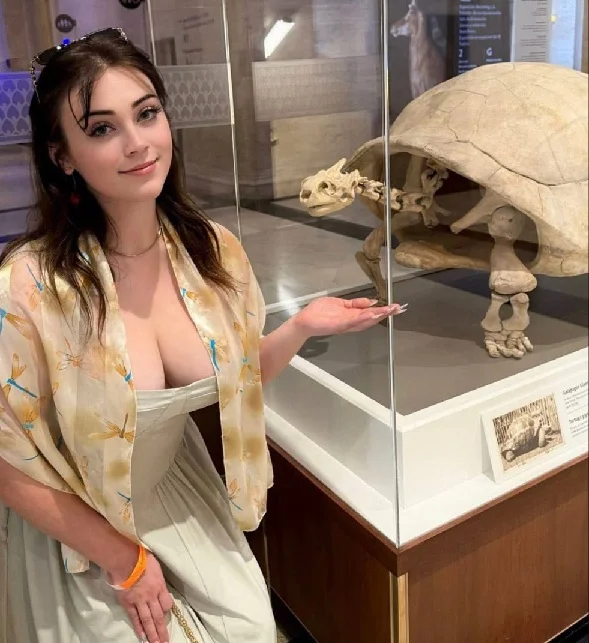 Подборка с мемами