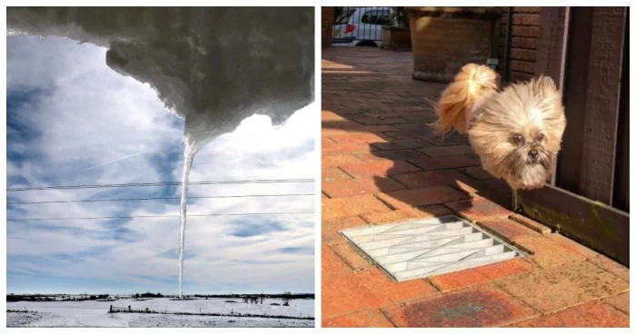 25 фотографий, от которых мозг зависнет