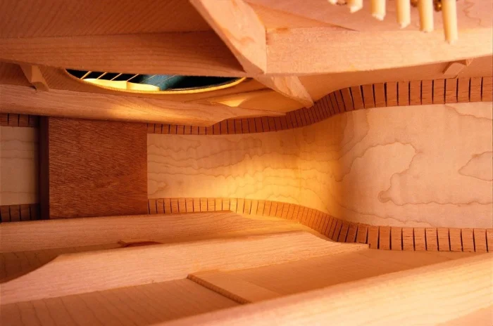 Обычные предметы и животные под необычным ракурсом