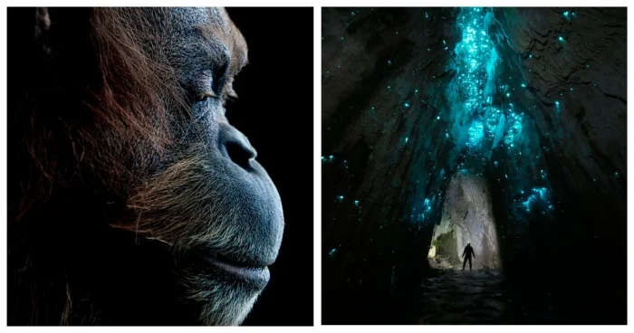 25 победителей фотоконкурса reFocus Awards 2025