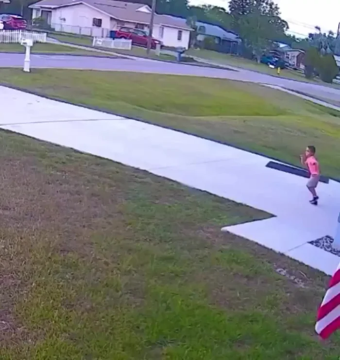 Топ постов Reddit за эту неделю