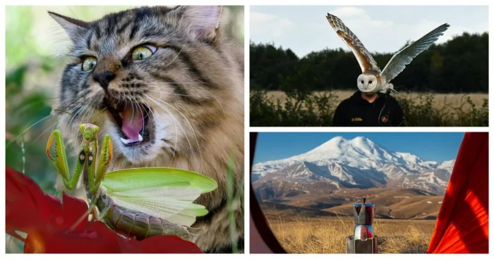 Вдохновляющие кадры со всего мира