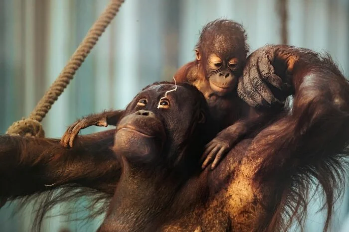 Вдохновляющие кадры со всего мира