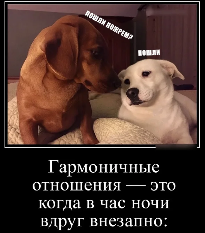 Кому сегодня нужнее отношения: мужчинам или женщинам?