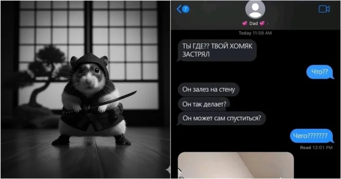 Хомяк-вдохновение: как быстро уйти от проблем