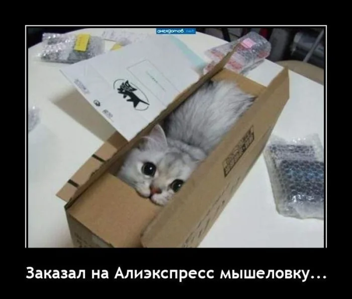 Подборка демотиваторов, которые поднимут настроение