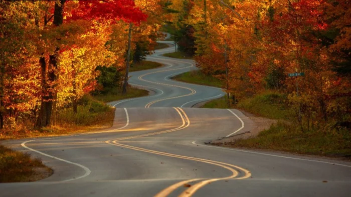 Фотоподборка без темы, но с настроением