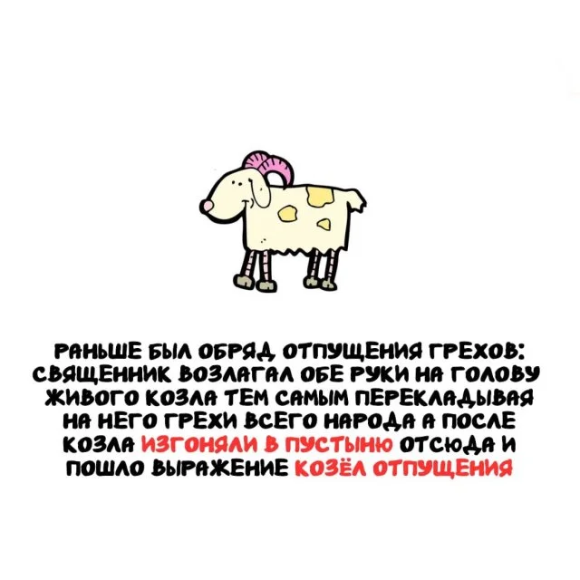 Подборка любопытных фактов обо всём на свете