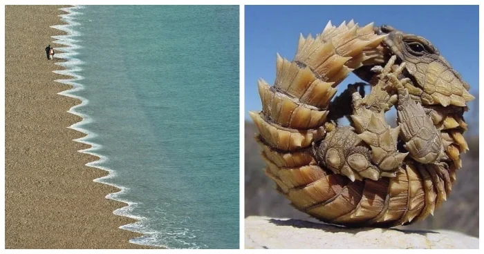 20 кадров, доказывающих, что реальность снимает лучшие сцены