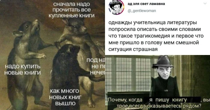 Мемы для любителей литературы