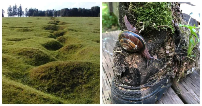 22 впечатляющих фото, показывающих силу природы