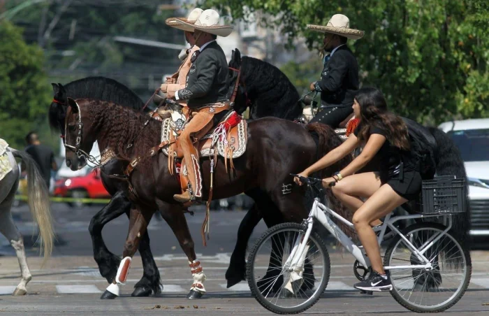 Подборка картинок на общую тему