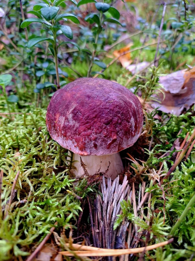 Свежее на общую тему