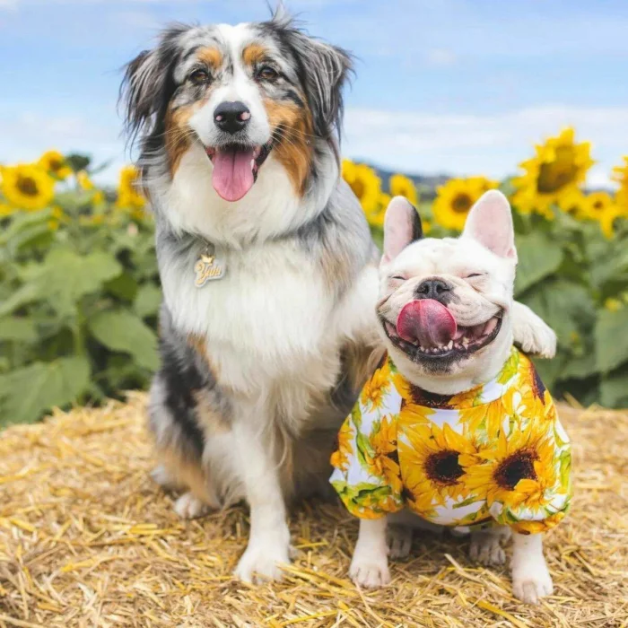 Подборка картинок на общую тему