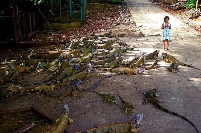 Снова намешалось