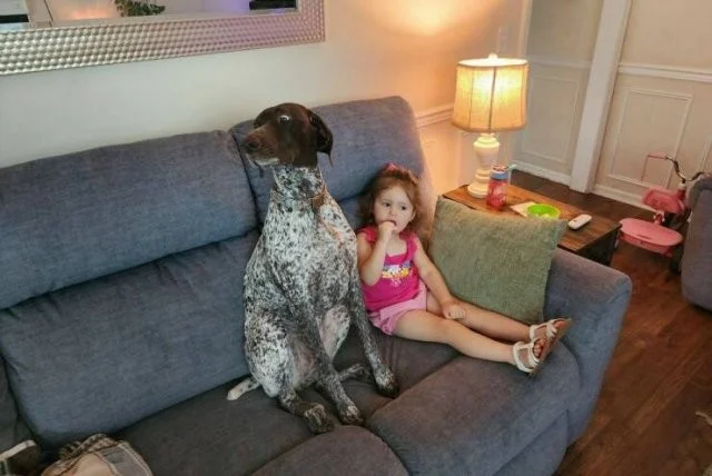 Намешалось: Красивые и интересные картинки