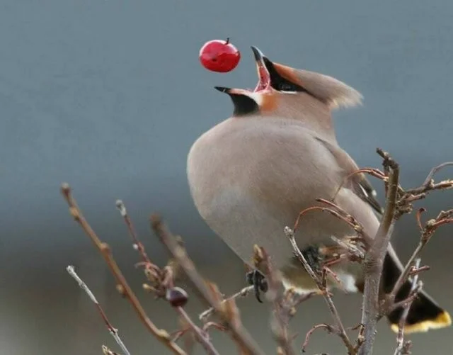 Снова намешалось