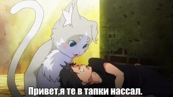 Всратые анимемы