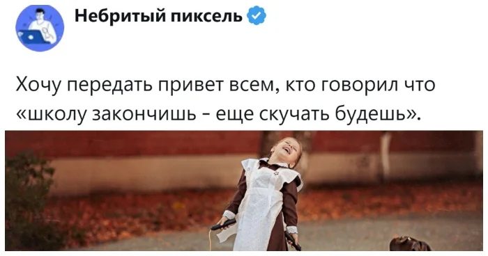 Ностальгия по школе: что думают пользователи и чьё мнение оказалось неожиданным