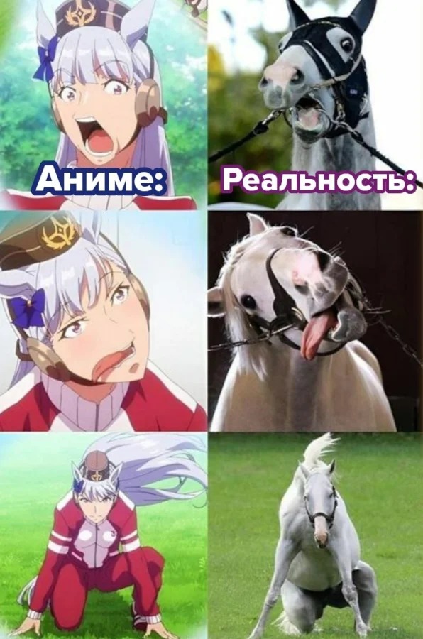 Рандомные мемы из аниме