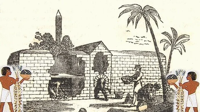 Неизвестные факты о птицеводстве в Древнем Египте