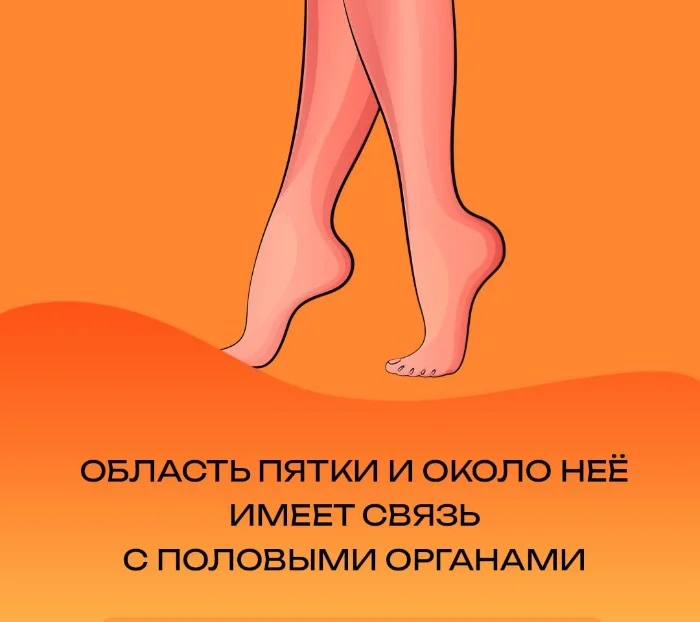 Сексуальная правда: 15 фактов, которым не научат в школе #138