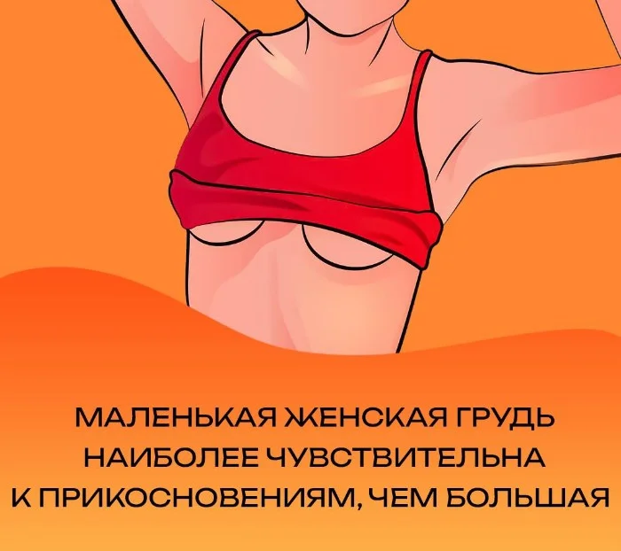 Сексуальная правда: 15 фактов, которым не научат в школе #148