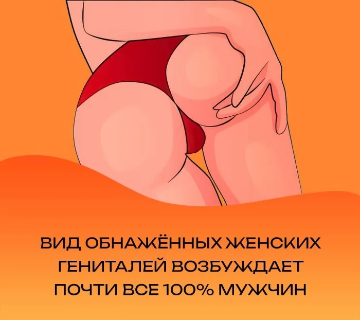 Сексуальная правда: 15 фактов, которым не научат в школе #159