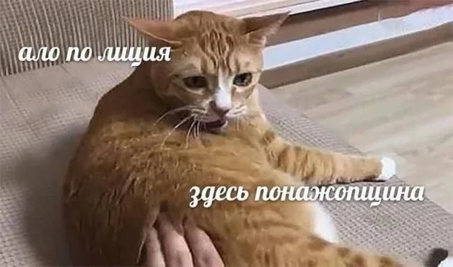 Смешные скрины из соцсетей #109