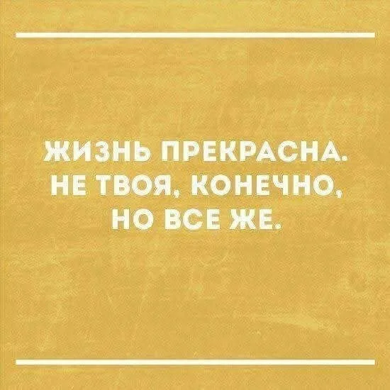 Смешные скрины из соцсетей #114