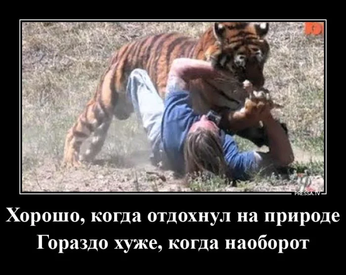 Жизненные демотиваторы