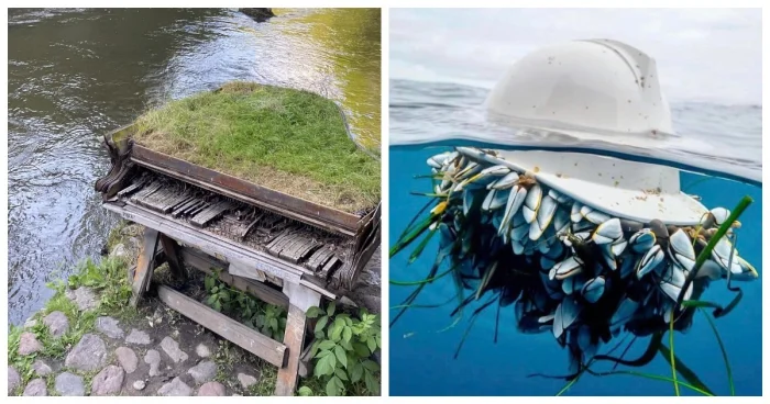 20 заброшенных мест, которые природа полностью захватила