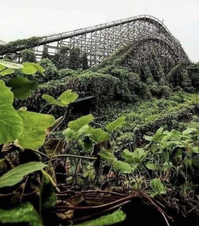 20 заброшенных мест, которые природа полностью захватила