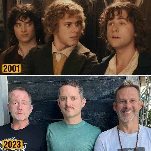 Подъехало всё вразнобой