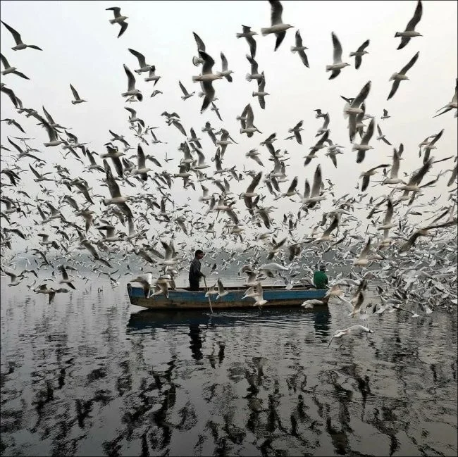 Подъехало всё вразнобой