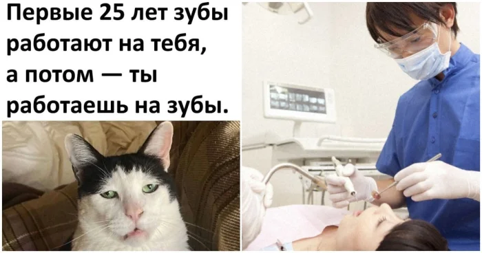 Японцы создают зубы будущего: прорыв ожидается к 2030 году