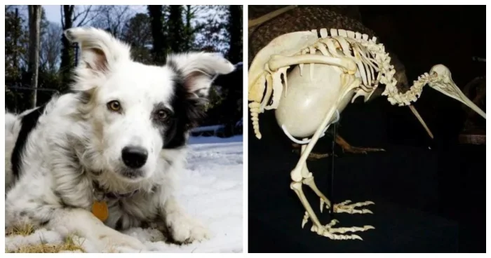 Мир полон сюрпризов: 13 фактов, которые вас поразят