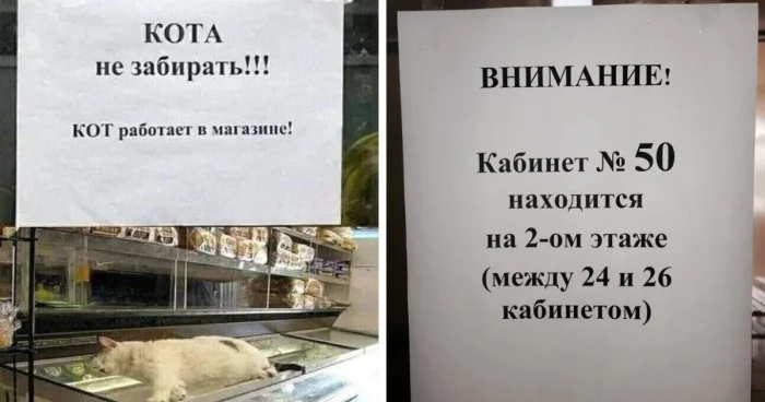 15 объявлений от людей с необычным чувством юмора и креативом