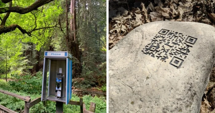 15 странных находок в лесу, которые озадачили людей