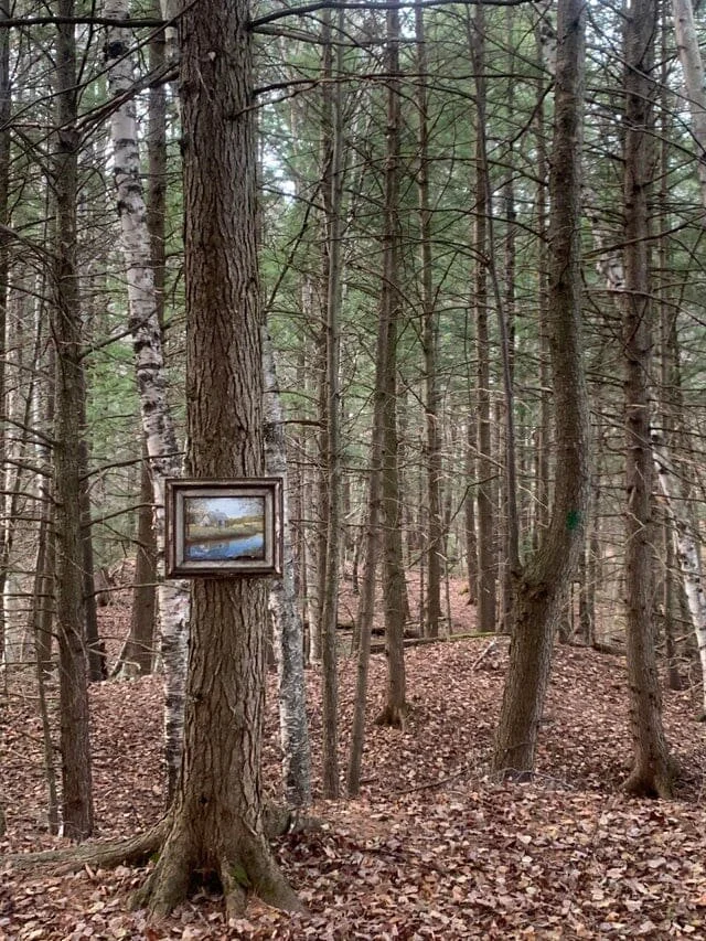 15 странных находок в лесу, которые озадачили людей