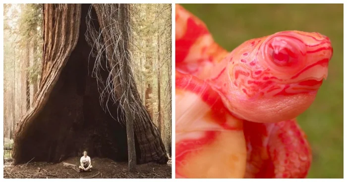 16 фотографий, будто открывающих портал в другой мир