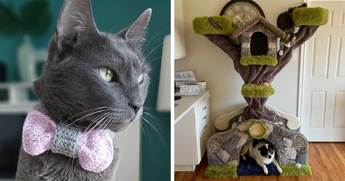 17 примеров, как хозяева порадовали своих питомцев самодельными подарками