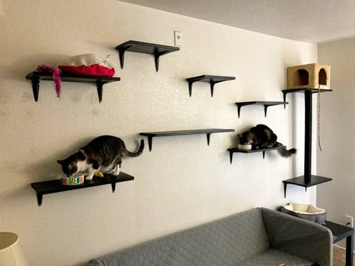 17 примеров, как хозяева порадовали своих питомцев самодельными подарками