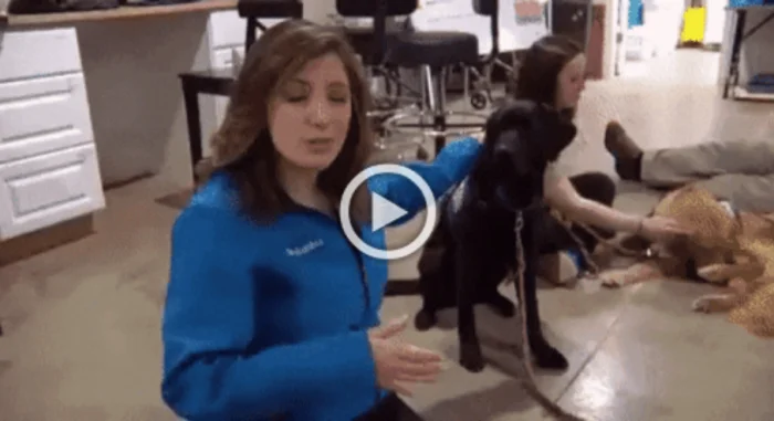 Разнообразные ГИФки #188