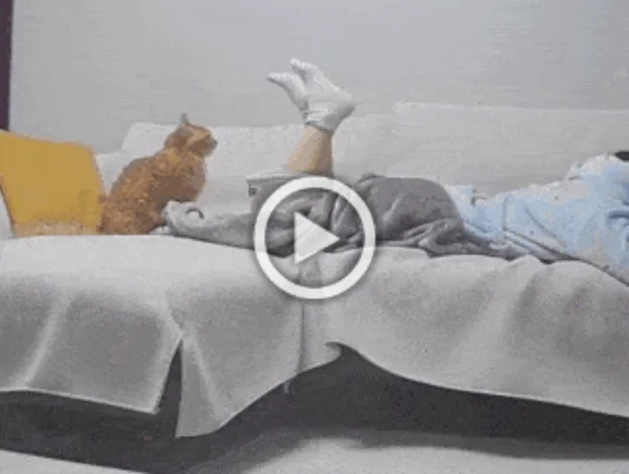 Разнообразные ГИФки #190