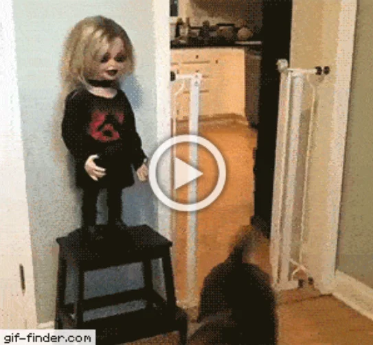 Разнообразные ГИФки #191