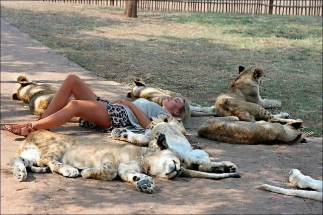 Подъехало всё вразнобой