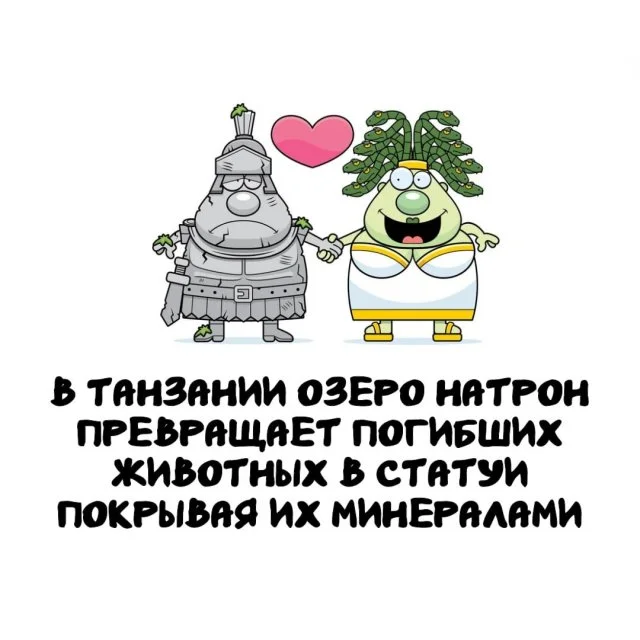 Неожиданные факты, которые пригодятся каждому